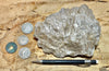 fault gouge - hand/display specimen of clay from the San Andreas Fault Zone