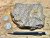 fault gouge - hand/display specimen of clay from the San Andreas Fault Zone