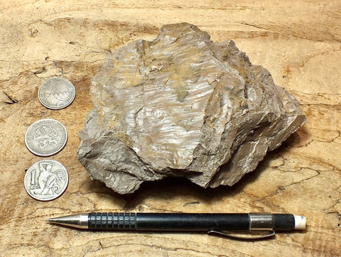 fault gouge - hand/display specimen of clay from the San Andreas Fault Zone