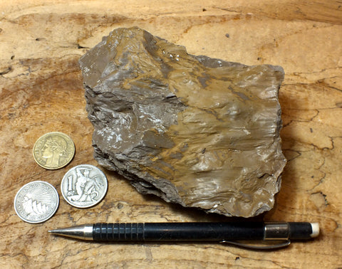 fault gouge - hand/display specimen of clay from the San Andreas Fault Zone