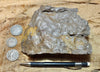 fault gouge - hand/display specimen of clay from the San Andreas Fault Zone