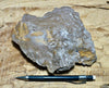 fault gouge - hand/display specimen of clay from the San Andreas Fault Zone