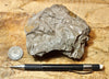 fault gouge - hand/display specimen of clay from the San Andreas Fault Zone