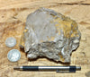 fault gouge - hand/display specimen of clay from the San Andreas Fault Zone