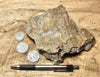 fault gouge - hand/display specimen of clay from the San Andreas Fault Zone