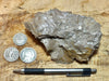 fault gouge - hand/display specimen of clay from the San Andreas Fault Zone