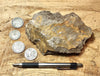 fault gouge - hand/display specimen of clay from the San Andreas Fault Zone