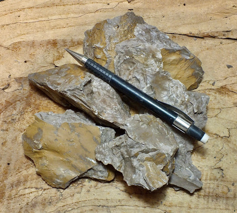 fault gouge - clay formed in the San Andreas fault zone  - Unit of 5 student specimens