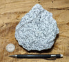 granite - teaching hand/display specimen of typical granite