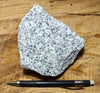 granite - teaching hand/display specimen of typical granite