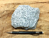 granite - teaching hand/display specimen of typical granite