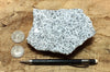 granite - teaching hand/display specimen of typical granite