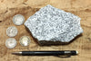 granite - teaching hand/display specimen of typical granite