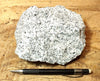 granite - teaching hand/display specimen of typical granite