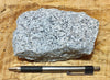 granite - teaching hand/display specimen of typical granite