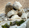 granite - teaching hand/display specimen of typical granite