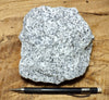 granite - large hand/display specimen of typical granite