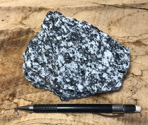 granodiorite -  teaching hand specimen of a subduction-related granitic rock from the Sierra Nevada batholith