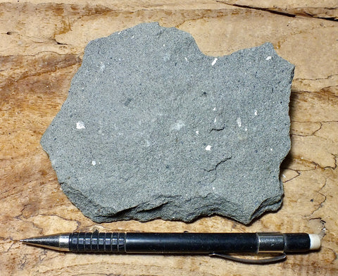 graywacke - teaching hand specimen of an Upper Cretaceous gray graywacke from the Sites Formation