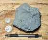 graywacke - teaching hand/display specimen of an Upper Cretaceous gray graywacke from the Sites Formation