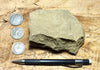 graywacke - teaching hand/display specimen of an Upper Cretaceous tan graywacke from the Sites Formation