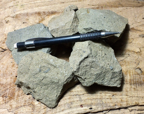 graywacke -  teaching student specimens of a tan dirty sandstone -  Unit of 5 specimens - Geological Specimen Supply