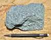 schist -  greenschist - a facies of the Pelona Schist - hand/display specimen