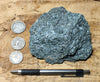 schist -  greenschist - a facies of the Pelona Schist - hand/display specimen