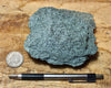 schist -  greenschist - a facies of the Pelona Schist - hand/display specimen