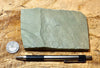 shale - hard green Lower Cambrian shale from the Harkless Formation - teaching hand specimen