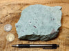 tuff - copper-stained green welded tuff - teaching hand/display specimen