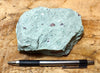 tuff - copper-stained green welded tuff - teaching hand/display specimen