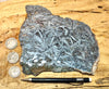 hematite - slab of crystalline hematite from the BBC Mine, La Paz County, Arizona