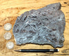 hematite - slab of crystalline hematite from the BBC Mine, La Paz County, Arizona