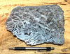 hematite - slab of crystalline hematite from the BBC Mine, La Paz County, Arizona