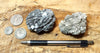 howlite - set of typical nodules of calcium silicoborate