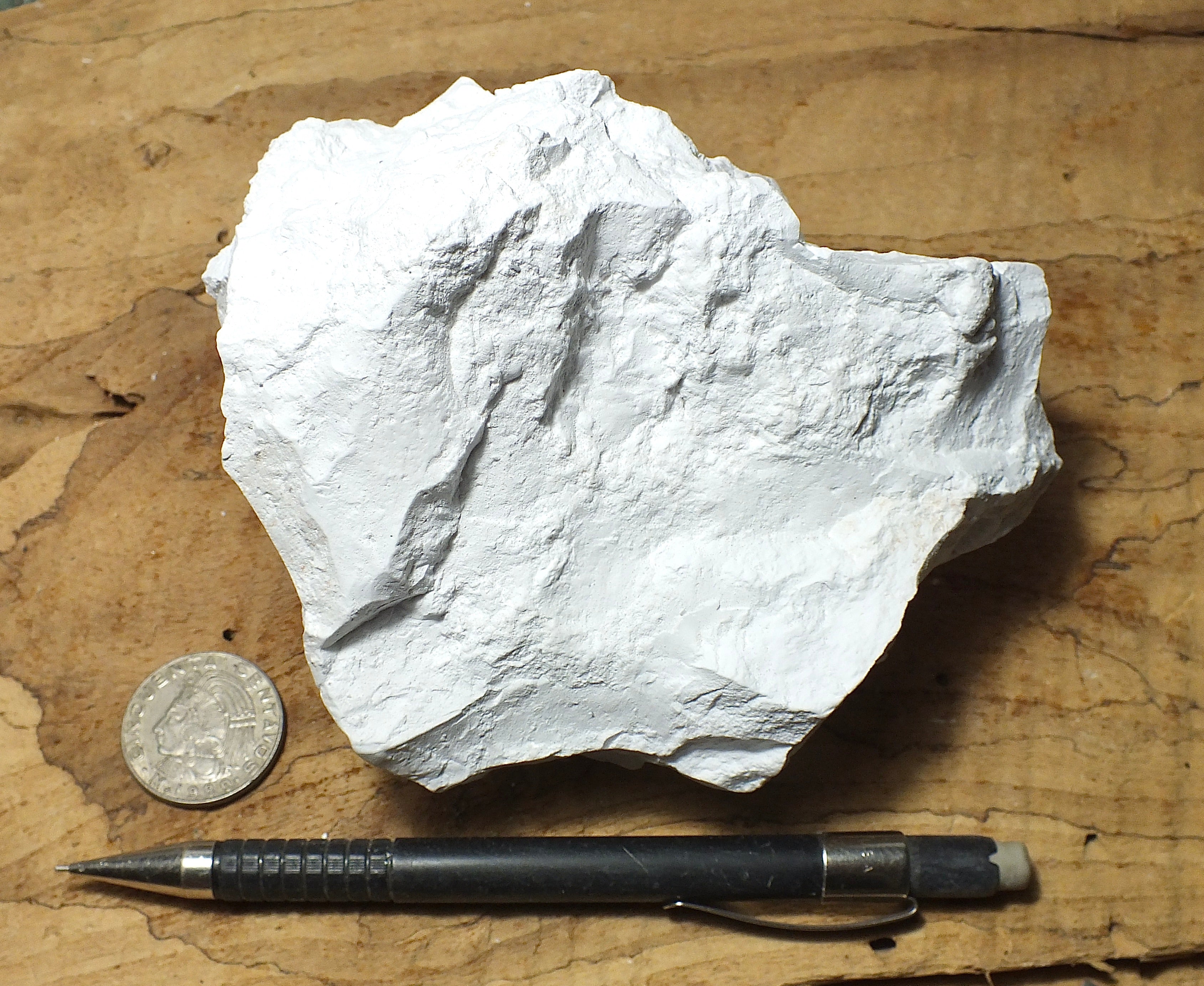 kaolinite - soft white kaolin - display specimen of the primary