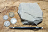 limestone - tan silty limestone from the Jurassic Carmel Fm. - hand/display specimen