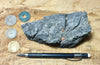 limestone - hand/display specimen showing typical dissolved surface found in arid climates - Lower Cambrian Chambless Limestone, Marble Mountains, Calif.