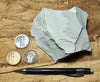 limestone - very light tan lacustrine limestone from the Eocene Green River Formation - teaching hand/display specimen