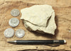 limestone - yellowish dolomitic limestone from the Lower Permian Kaibab Formation - teaching hand specimen