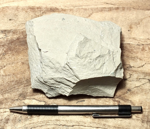 limestone - tan silty limestone from the Jurassic Carmel Fm. - hand/display specimen