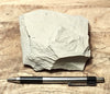 limestone - tan silty limestone from the Jurassic Carmel Fm. - hand/display specimen