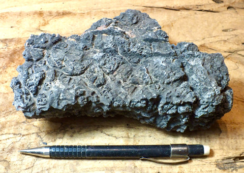 limestone - oncolitic limestone showing typical dissolved surface found in arid climates - Lower Cambrian Chambless Limestone, Marble Mountains, Calif. - large hand/display specimen