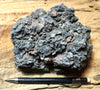 limestone - display specimen showing typical dissolved surface found in arid climates - Lower Cambrian Chambless Limestone, Marble Mountains, Calif.