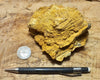 limonite - hand specimen of limonite - hydrated iron oxides -  from the cap of a hydrothermal vein at the Keeler Gold Mine