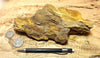limonite - large hand/display specimen of limonite - hydrated iron oxides -  from the cap of a hydrothermal vein at the Keeler Gold Mine