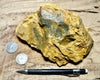 limonite - large hand/display specimen of limonite - hydrated iron oxides -  from the cap of a hydrothermal vein at the Keeler Gold Mine