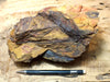 limonite + hematite - hydrated/weathered iron oxides from the cap of a hydrothermal vein - hand/display specimen