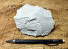 magnesite - teaching hand specimen of light tan porous magnesite - Windous magnesite deposit, Westvaco Mine